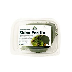 Shiso 25pcs