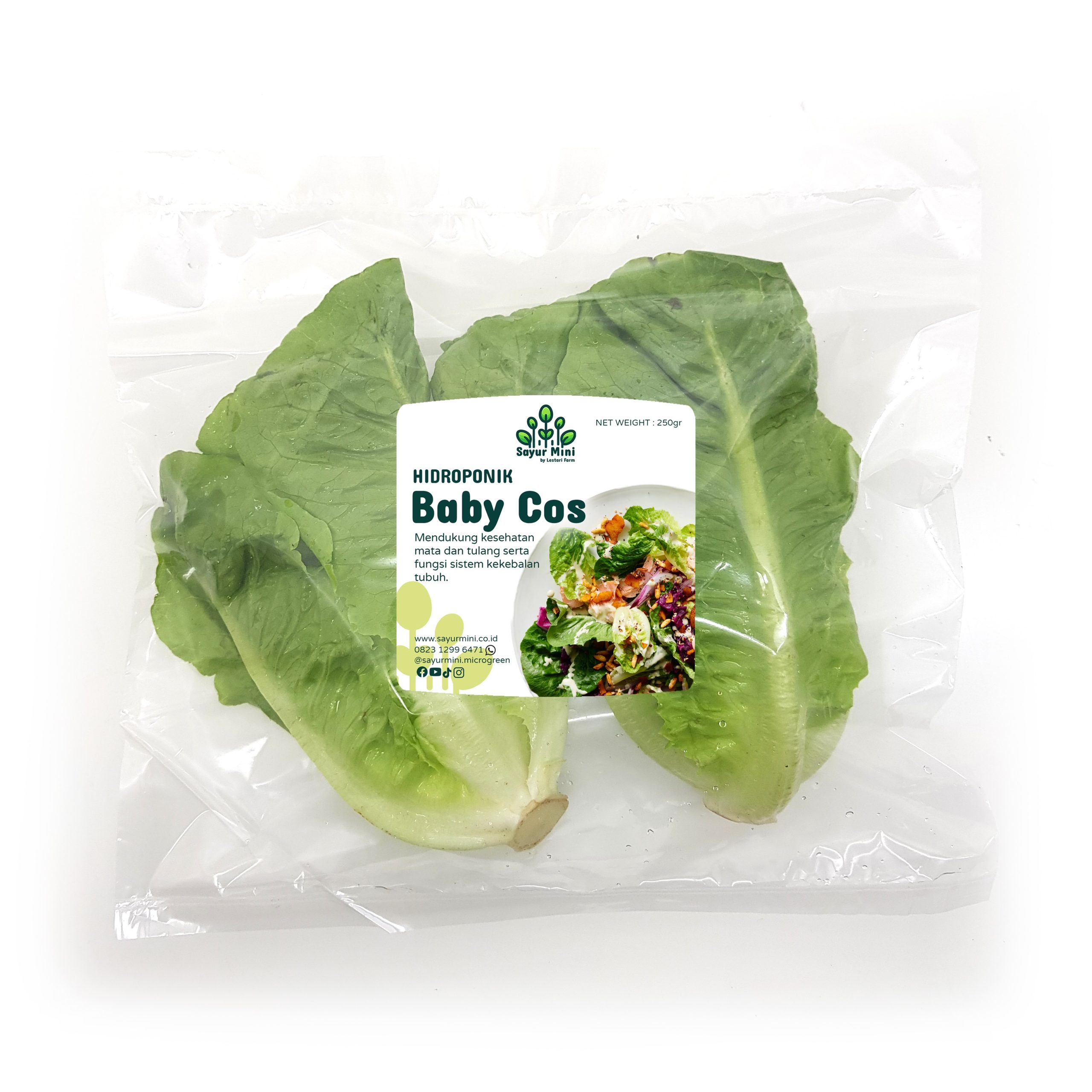Baby Romaine 250gr Baby Romaine 250gr